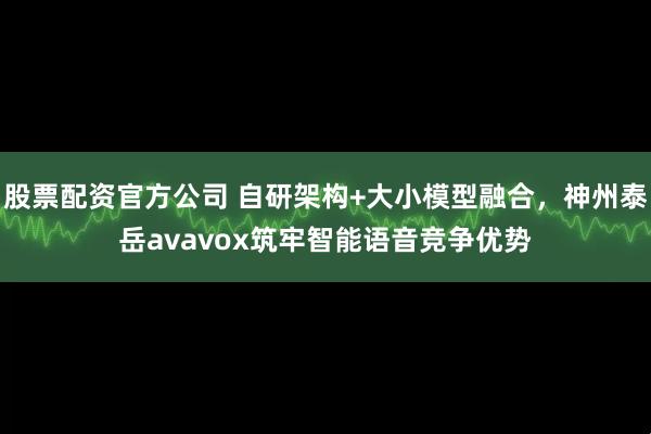 股票配资官方公司 自研架构+大小模型融合，神州泰岳avavox筑牢智能语音竞争优势